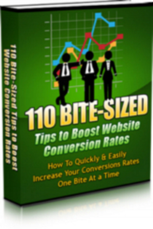 Product picture 101 Bited Sized - Tips To Boost website Conversion Rate 